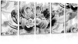 Dovido Tablou 5-piese bujori în design alb-negru - 150x75