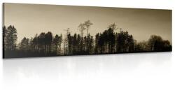 Dovido Tablou pădure în sepia - 150x50