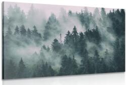 Dovido Tablou munți în ceață - 40x30