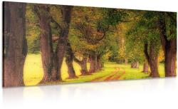 Dovido Tablou alee prin pădure de toamnă - 140x70