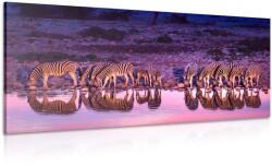 Dovido Tablou zebre în safari - 120x60