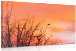 Dovido Tablou cerul colorat - 30x20