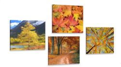 Dovido Set tablouri natura de toamnă în culori frumoase - 4x 40x40