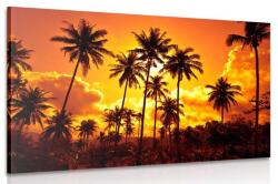 Dovido Tablou palmieri de cocos pe plajă - 40x30
