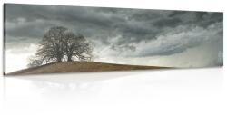 Dovido Tablou copaci singuratici - 90x30