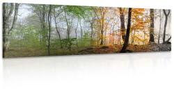 Dovido Tablou cele patru anotimpuri - 135x45