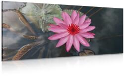 Dovido Tablou floare de lotus magnifică - 140x70