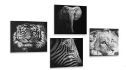 Dovido Set tablouri animale sălbatice în design alb-negru - 4x 40x40