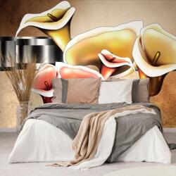 Dovido Tapet flori calla lilly elegante - 539x363