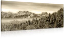 Dovido Tablou munții înghețați în design sepia - 120x60
