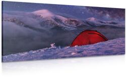Dovido Tablou cort sub cerul liber - 80x40