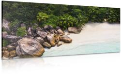 Dovido Tablou coastă Seychelles - 120x60