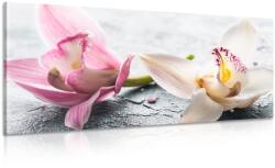 Dovido Tablou flori de orhidee - 80x40