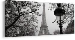 Dovido Tablou paris romantic de iarnă - 100x50