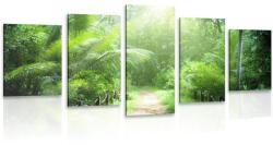 Dovido Tablou 5-piese cărare pe insula Seychelles - 150x75