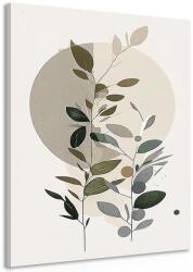 Dovido Tablou plante minimaliste în stil boho - 60x90