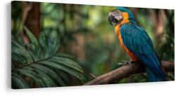 Dovido Tablou papagal printre frunze tropicale - 80x40