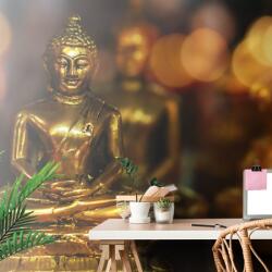 Dovido Tapet Buddha cu fundal abstract - 245x165