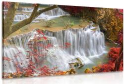 Dovido Tablou cascada forestieră - 30x20