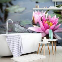 Dovido Fototapet floare roz de lotus - 245x270