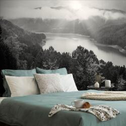 Dovido Fototapet râul în mijlocul pădurii în design alb-negru - 392x264
