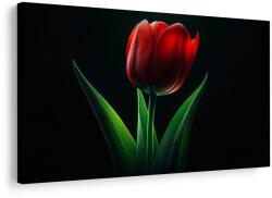 Dovido Tablou eleganța lalelelor roșii - 90x60