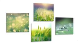 Dovido Set tablouri roua de dimineață pe luncă - 4x 60x60