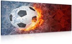Dovido Tablou minge de fotbal - 100x50