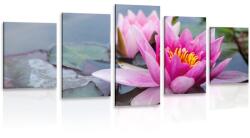 Dovido Tablou 5-piese floare de lotus roz - 200x100