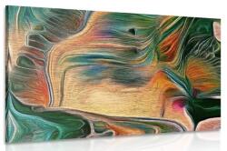 Dovido Tablou abstract psihedelic - 90x60