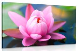 Dovido Tablou floare fascinantă plutitoare - 120x80