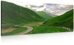 Dovido Tablou peisajul verde - 80x40