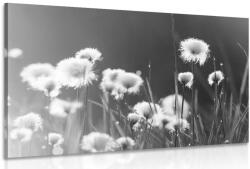 Dovido Tablou iarbă din bumbac în design alb-negru - 60x40