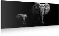 Dovido Tablou elefant mic si elefant feminin - 120x60