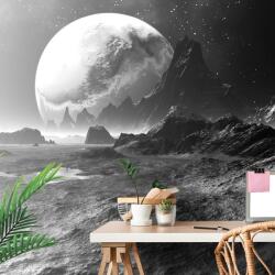 Dovido Tapet peisajul fantasy în alb-negru - 539x363