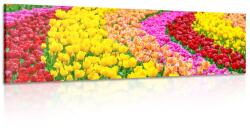 Dovido Tablou lalele multicolore - 150x50