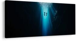 Dovido Tablou scufundare în abisul albastru - 60x30