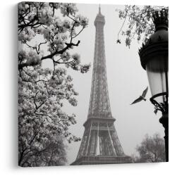 Dovido Tablou turnul Eiffel iarna - 70x70