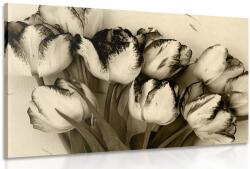 Dovido Tablou lalele de primăvară în design sepia - 90x60