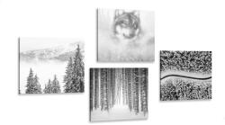 Dovido Set tablouri lupul în pădure misterioasă în design alb-negru - 4x 60x60