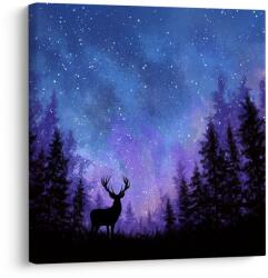 Dovido Tablou magia iernii pe cerul nocturn în siluete - 50x50