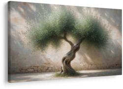 Dovido Tablou măslin pe curte de piatră - 30x20