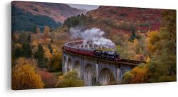 Dovido Tablou peisaj de toamnă cu tren - 80x40