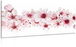 Dovido Tablou flori de cires - 140x70