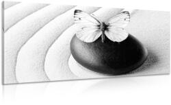 Dovido Tablou Zen piatră cu fluture în design alb-negru - 120x60