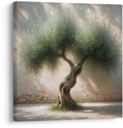 Dovido Tablou măslin bătrân în Mediterană - 20x20