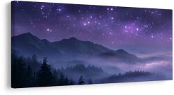 Dovido Tablou nebuloasă nocturnă în munți - 140x70