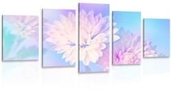 Dovido Tablou 5-piese floare de crizantemă - 150x75