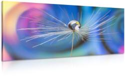 Dovido Tablou picături de rouă pe iarbă pe un fundal abstract - 80x40