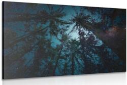 Dovido Tablou noaptea în pădure - 120x80